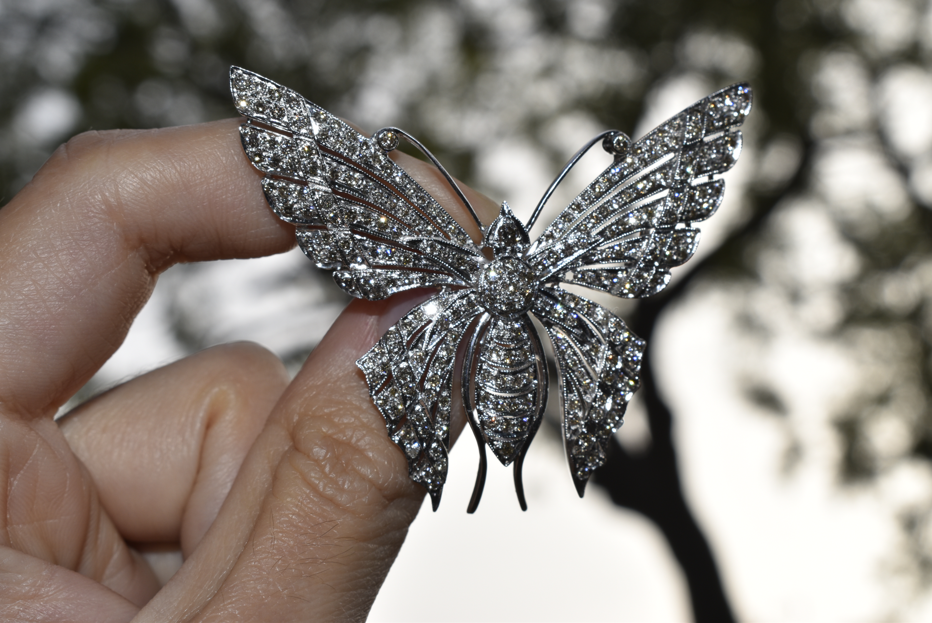 Diamond Butterfly